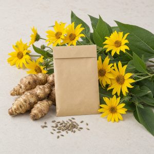 Sunchoke Jerusalem Artichoke Seeds - 20 Seeds
