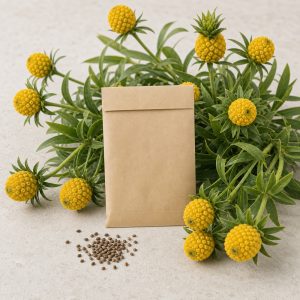 Pineapple Flower Seeds - 25 Seeds