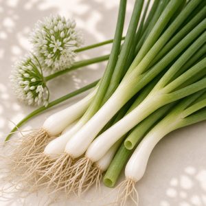 Welsh Onion Seeds - 100 seeds - Nuptial Co. Seeds seeds - 100 seeds, Full sun - 100 seeds / Full sun