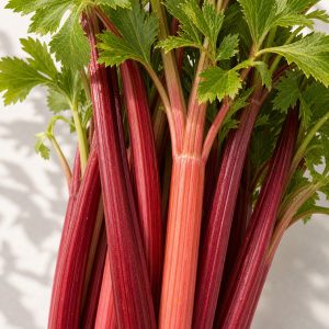 Redventure Celery Seeds - 50 seeds - Nuptial Co. Seeds seeds - 50 seeds, Full sun to partial shade - 50 seeds / Full sun t...