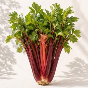 Redventure Celery Seeds - 50 seeds