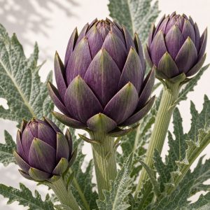 Purple Romagna Artichoke Seeds - 25 seeds - Nuptial Co. Seeds seeds - 25 seeds, Full sun - 25 seeds / Full sun