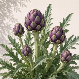 Purple Romagna Artichoke Seeds - 25 seeds - Nuptial Co. Seeds seeds - 25 seeds, Full sun - 25 seeds / Full sun