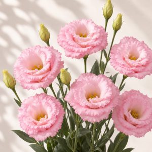 Celebrity Mimi Pink Lisianthus Seeds - 20 pelleted seeds - Nuptial Co. Seeds seeds - 20 pelleted seeds, Full sun to light...