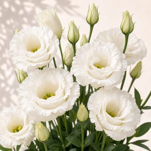 Celebrity Crystal Lisianthus Seeds - 20 pelleted seeds - Nuptial Co. Seeds seeds - 20 pelleted seeds, Full sun to light sh...