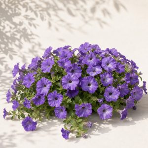 Trailing Lavender Blue Sky Easy Wave Petunia Seeds - 10 pelleted seeds - Nuptial Co. Seeds seeds - 10 Non-GMO pelleted see...